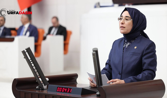TBMM Genel Kurulunda Konuşan Yazmacı:Türkiye’nin Dününü Acılar Yazmış Olabilir Bugününü Demokrasiyle Yazacağız