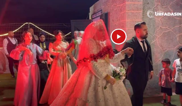 Şanlıurfa Birecik'te Ketikan Aşireti İsiki Kabilesi’nde Görkemli Düğün