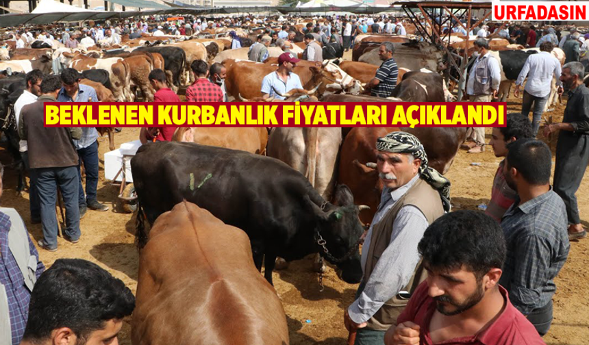 Şanlıurfa’da 2026 Yılı Kurbanlık Fiyatları Belli Oldu