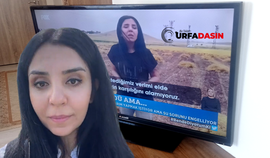 Öğretmenliği Bıraktı Çiftçilik Yapmaya Başladı Ondan da Bir Tat Alamadı