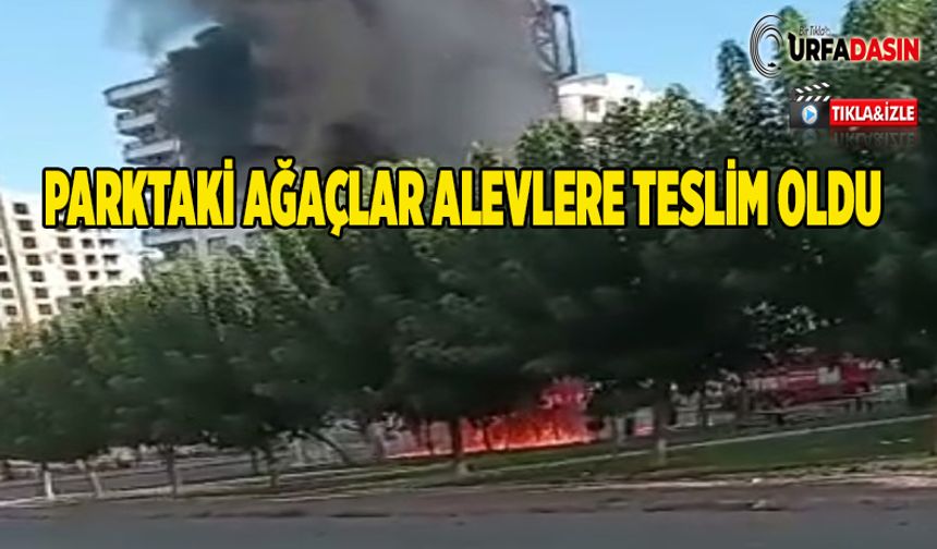 Karaköprü'de Baz İstasyonu Yangını Ağaçlara Sıçradı