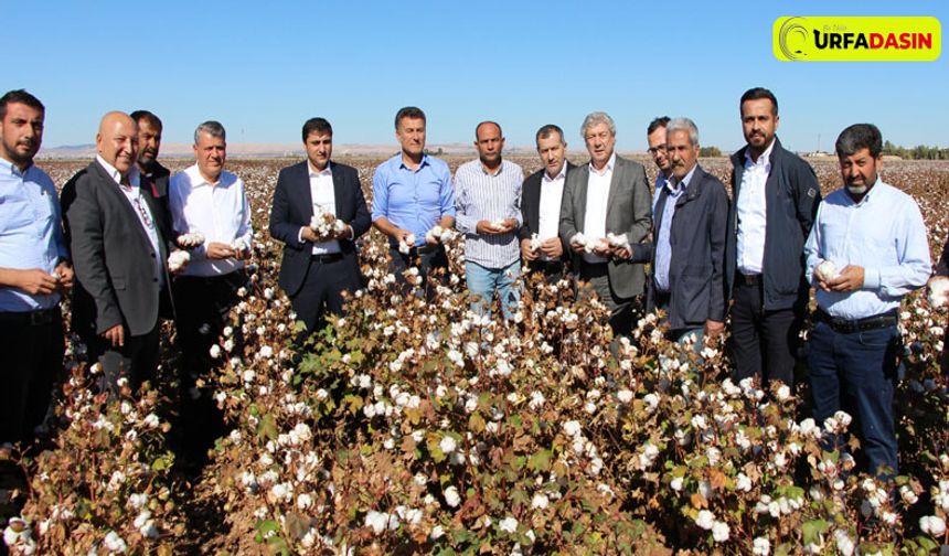 CHP, Şanlıurfa'da Pamuk Üreticilerini Dinledi