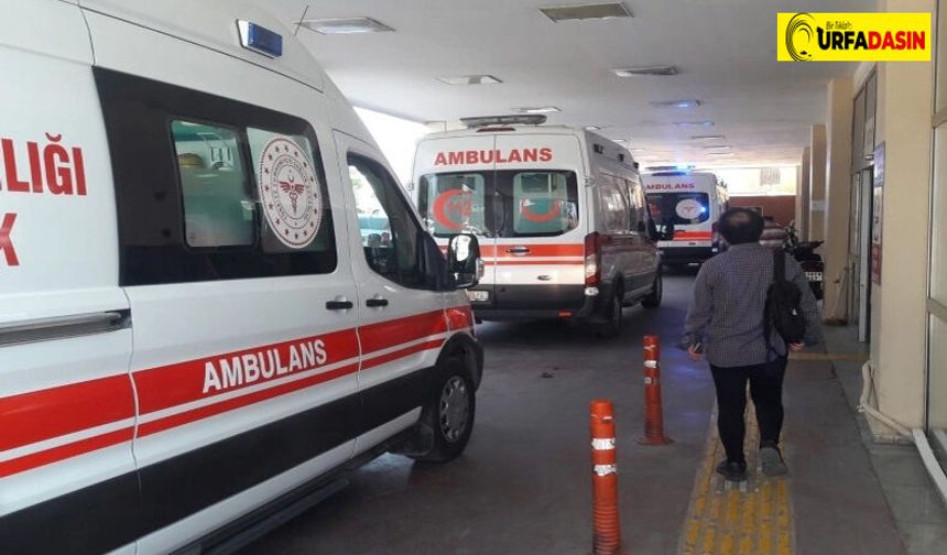 Şanlıurfa'da İki Otomobil Kavşakta Çarpıştı: 4 Yaralı