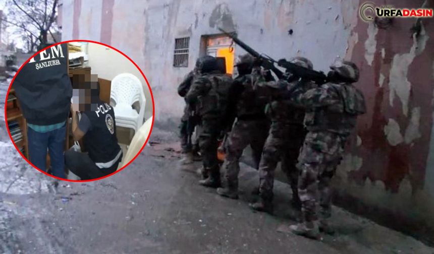 Şanlıurfa'da Terör Örgütü PKK'nın Gençlik Yapılanmasına Operasyon: 7 Gözaltı