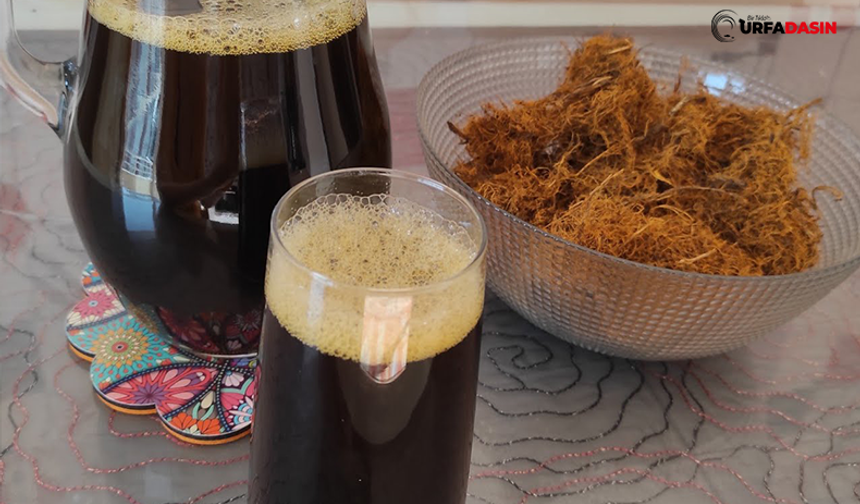 Şanlıurfalıların Severek Tükettiği Meyan Kökünün Bir Faydası Daha Ortaya Çıktı