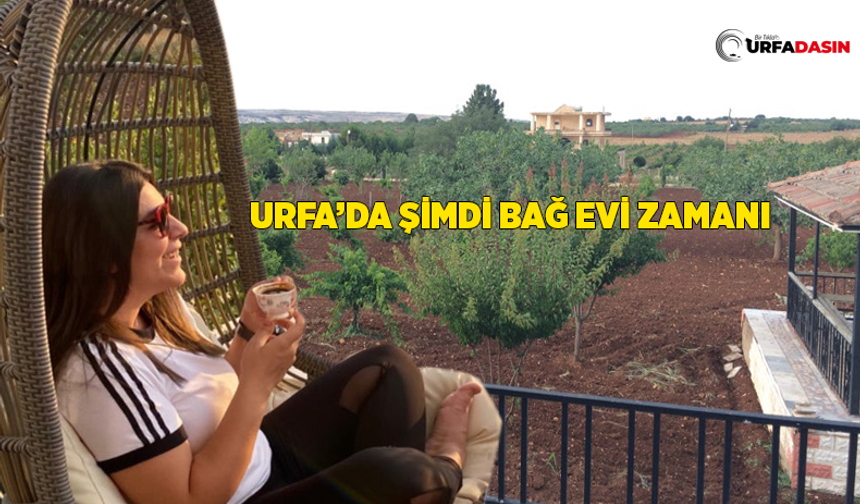 Bağ Evi Yapmak İsteyen Şanlıurfalılar, Şartlar Değişti