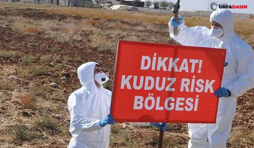 Şanlıurfa Kırsalında 6 Ay Süreyle Kuduz Karantinası