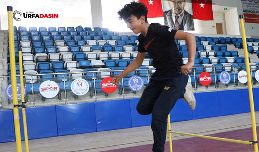 Şanlıurfa Viranşehir'de 33 Öğrenciden 28’i Spor Lisesini Kazandı