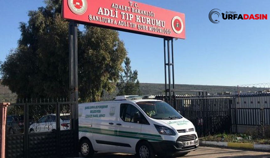 Şanlıurfa'da 4 Çocuk Babası Ahırda Canına Kıydı