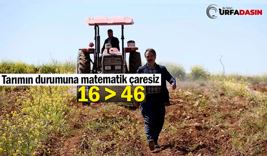 Şanlıurfa'da Çiftçi Üretimi Bıraktı, Gençler Batıya Irgat Olmaya Gidiyor!