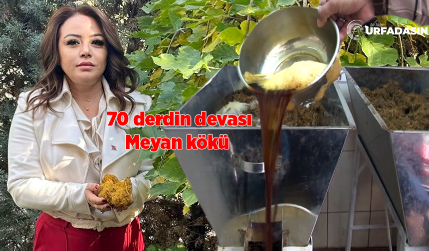 Bitkilerinin Profesörü Şanlıurfa'nın Doğal Kolası Biyan Balını Anlata Anlata Bitiremedi