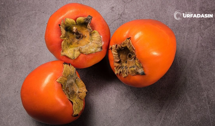 Cennet Hurması Yerken Mideniz Delinmesin Bağırsaklarınız Düğümlenmesin