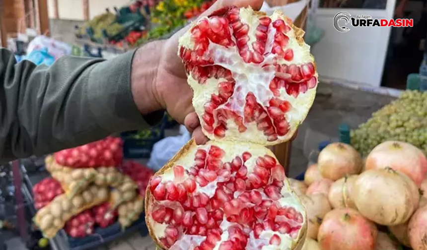 Avrupa’da Tescillenen 45 Ürün Arasında Suruç Narı da Var