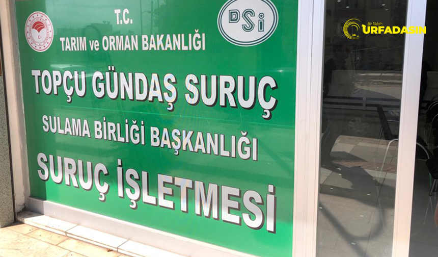Şanlıurfa'da Buğday Üreticilerinden Sulamada Tam Su Ücreti Alınacak Olmasına Tepki