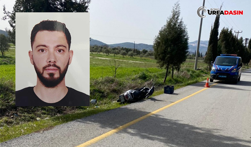 Şanlıurfa Ağaca Çarpan Motosikletin Sürücüsü Hayatını Kaybetti