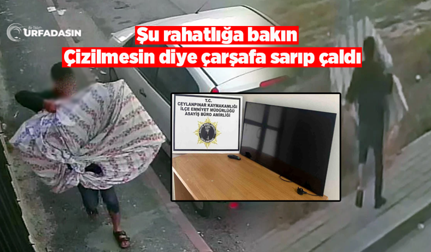 Televizyonu Çarşafa Sarıp çaldı bekçilere yakalandı