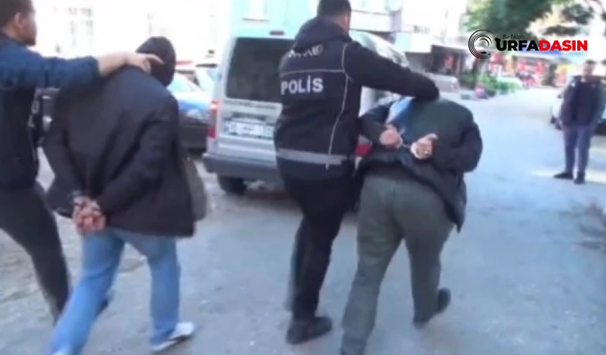 Şanlıurfa'da Bayğaralar Suç Örgütüne Operasyon: 8 İlde 287 Gözaltı
