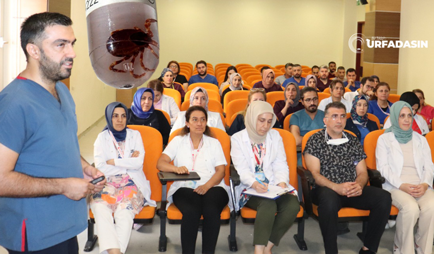 Harran Üniversitesi Hastanesi Personeline Kene Isırması Semineri