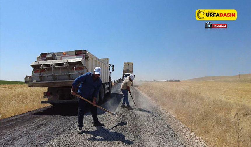 Büyükşehir Bu Kez Ovacık Grup Yolunda Asfalt Çalışması Başlattı