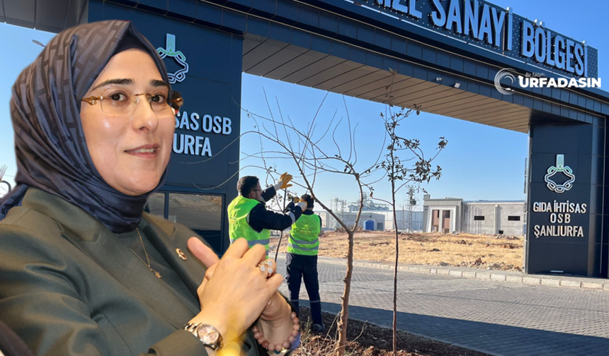 Şanlıurfa Gıda OSB'nin Alanı Genişliyor! Açıklama Yazmacı'dan Geldi