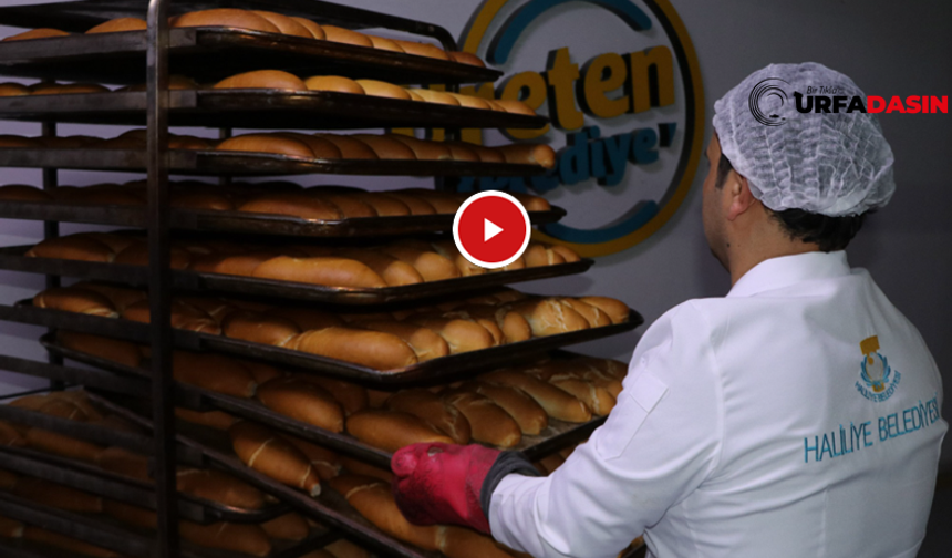 Ramazan'da Sofralar Haliliye Belediyesi İle Bereketleniyor