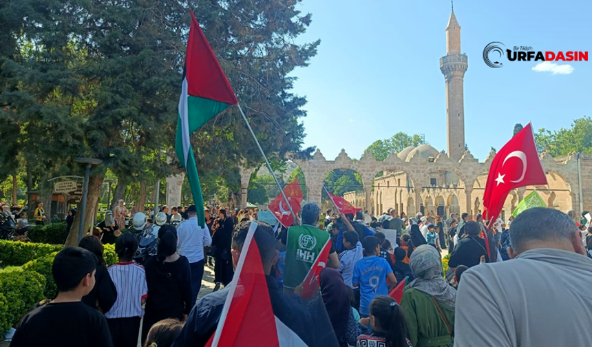Urfa’da Binlerce Çocuk Gazze İçin Yürüdü: Gazzeli Çocuklar Ölmesin!