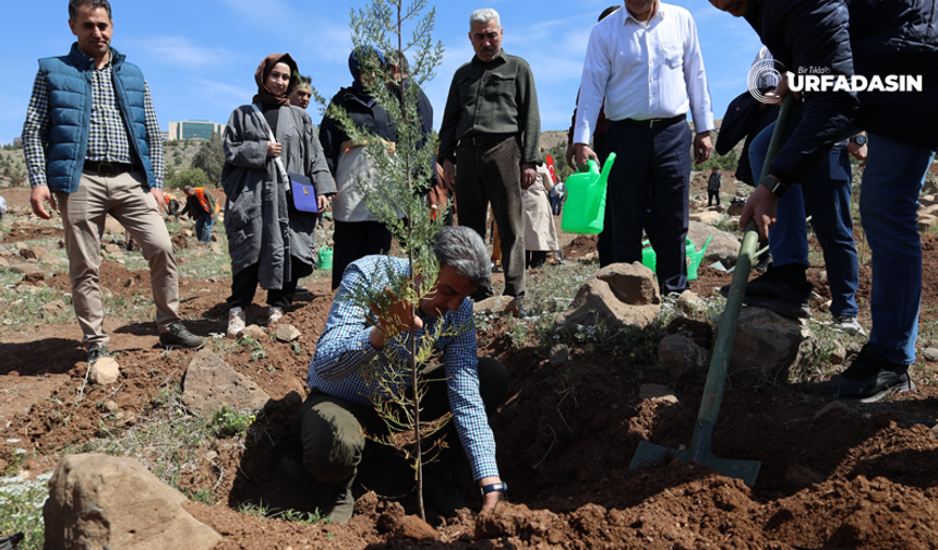 AK Parti Şanlıurfa İl Teşkilatı Fidan Dikti