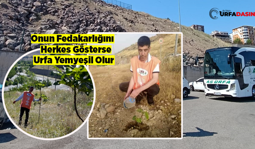 Şanlıurfa'da Çevre Haftası Çeşitli Etkinliklerle Kutlanıyor