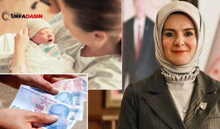 Doğum Yardımı Bütçesi 31 Temmuz'da Şanlıurfa'ya Akacak !