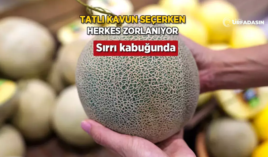 Şanlıurfalılar Bal Gibi Kavunu Kabuğundan Anlıyor