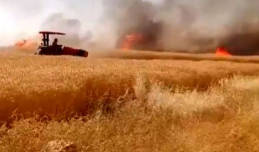 Harran'da 170 Dönümlük Buğday Tarlası Küle Döndü