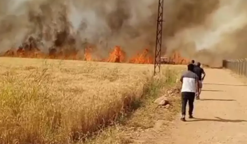 Şanlıurfa Akçakale'de Buğday Ekili Tarlada Yangın Çıktı