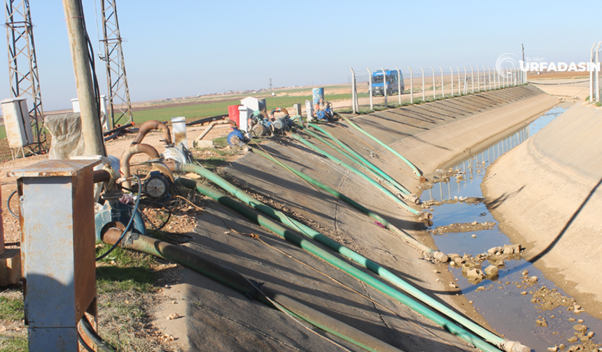 Dicle Elektrik, Borcunu Ödemeyen Çiftçilerin Elektriğini Kesecek