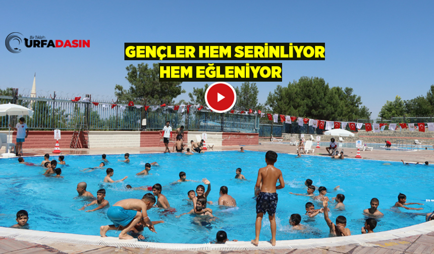 Şanlıurfa’da Yüzme Havuzlarında Çocuk Cıvıltıları