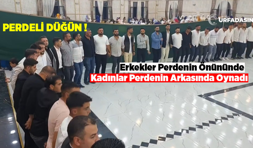 Şanlıurfa'da Düğün Salonu Perdeyle İkiye Bölündü Gelin ve Damat Bir Araya Gelmedi