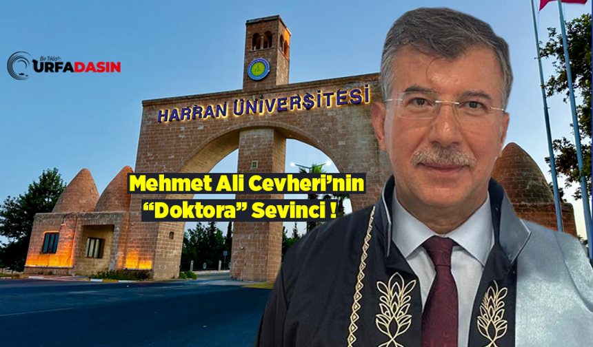 AK Parti Şanlıurfa Milletvekili Cevheri Doktorasını Tamamladı Cübbesini Giydi