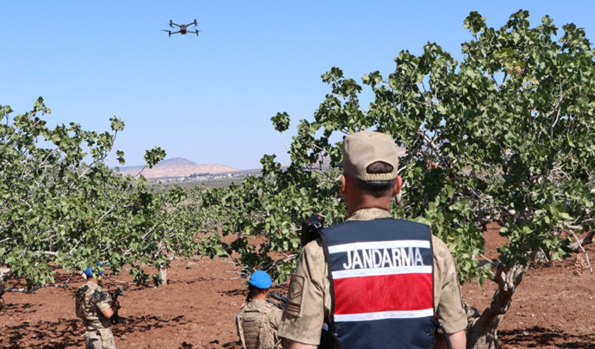 Şanlıurfa'da Fıstığın Fiyatı Altın İle Yarışıyor! Başında Silah İle Nöbet Tutuluyor