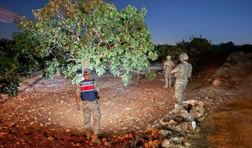 Şanlıurfa'da Jandarma Fıstık Nöbetinde !