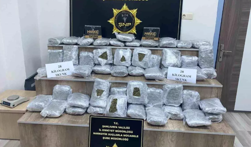 Siverek Polisinden Narkotik Operasyonu; 28 Kilo Skunk Ele Geçirildi
