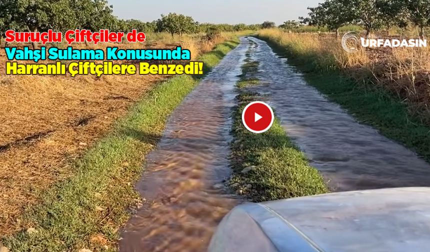 Şanlıurfa’nın Suruç Ovası’nda Drenaj Sorunu Bir Türlü Çözülemedi