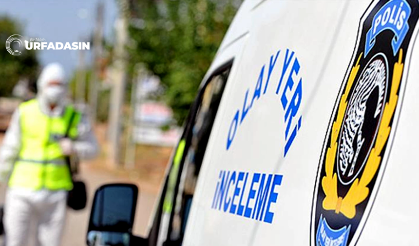 Şanlıurfa Müzesi Bahçesinde Acı Son