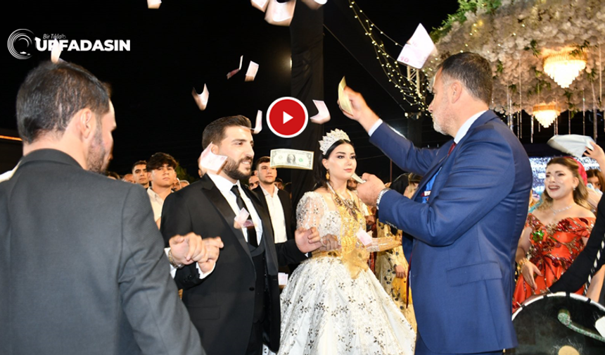 Şanlıurfa'da Şeddadi Aşiretinin Düğününde Dolarlar Havada Uçuştu