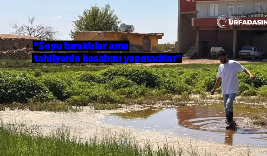 Suruç Nedense Suçu Hiç Kendinde Aramıyor !