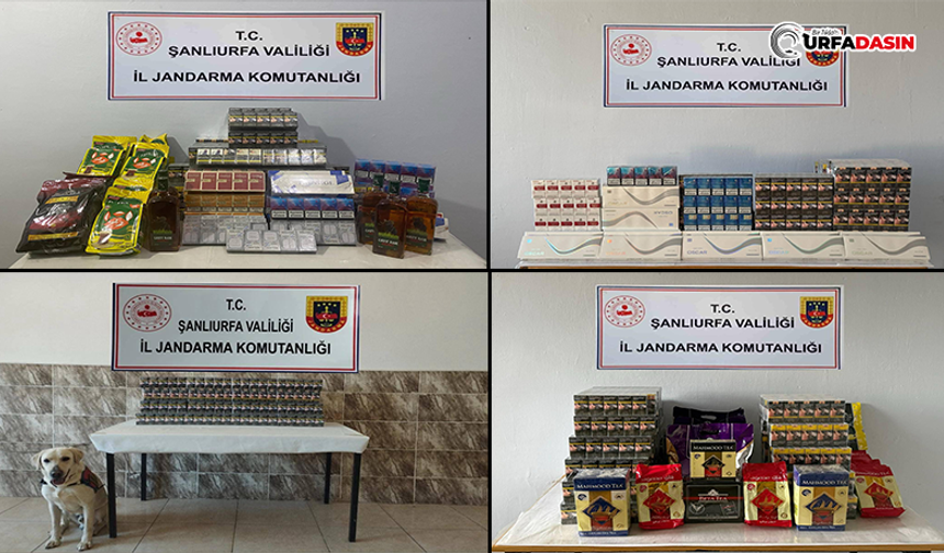 Şanlıurfa'da Peş Peşe Kaçakçılık Operasyonları: