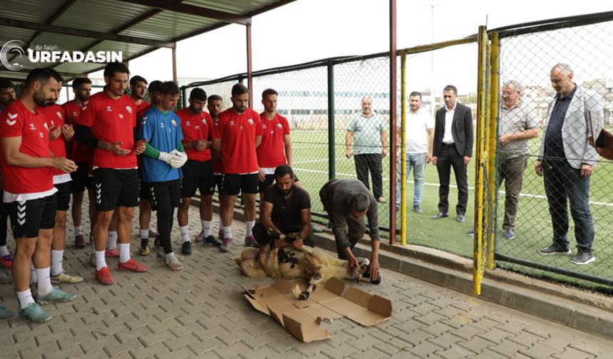 Viranşehir Belediyespor Sezona Kurban Keserek Başladı
