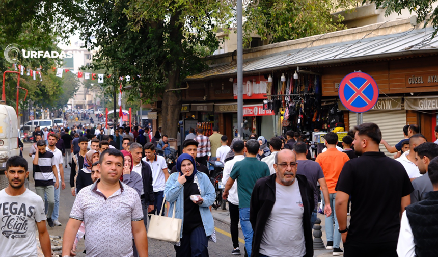 Herkes Memleketine Dönse Şanlıurfa Nasıl Olurdu?