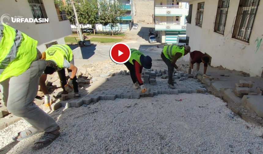 Eyyübiye’de Yol Yapım Seferberliği Devam Ediyor