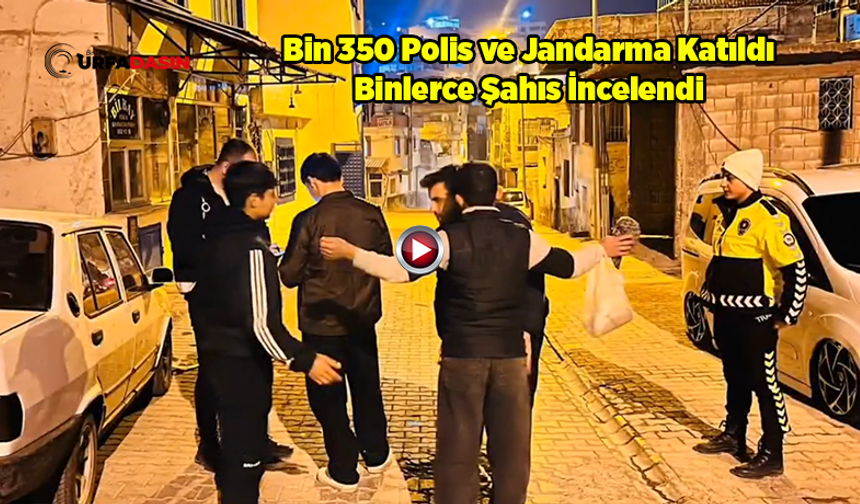 Şanlıurfa'da Geniş Çaplı Uygulama: 74 Kişi Yakalandı