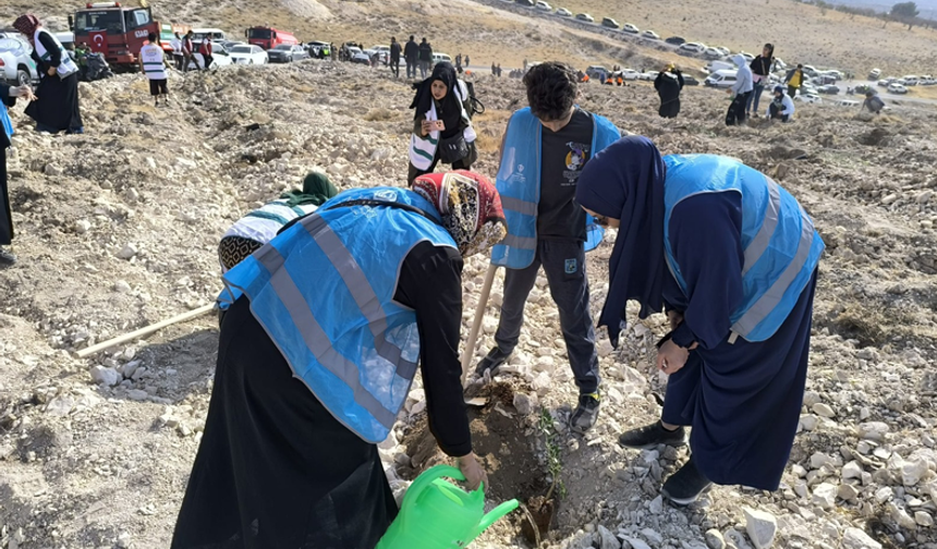 Şanlıurfa'da Geleceğe Nefes Olsun Diye Diyanet Fidan Dikti