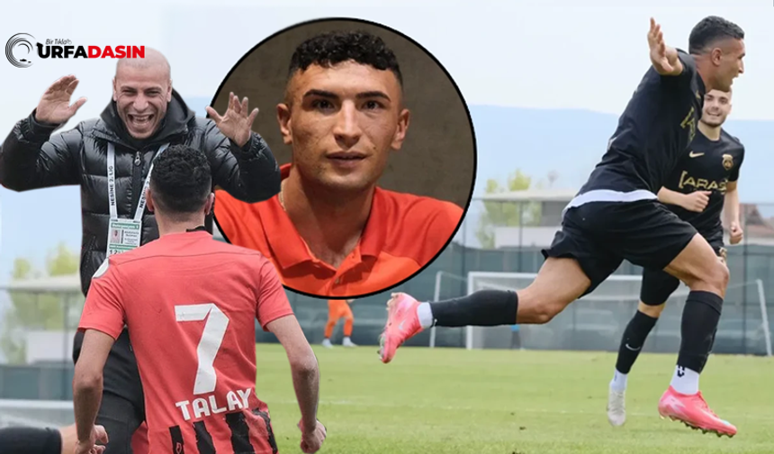 Şanlıurfa Viranşehirli Talay, 1. Lig Takımlarının Radarına Girdi